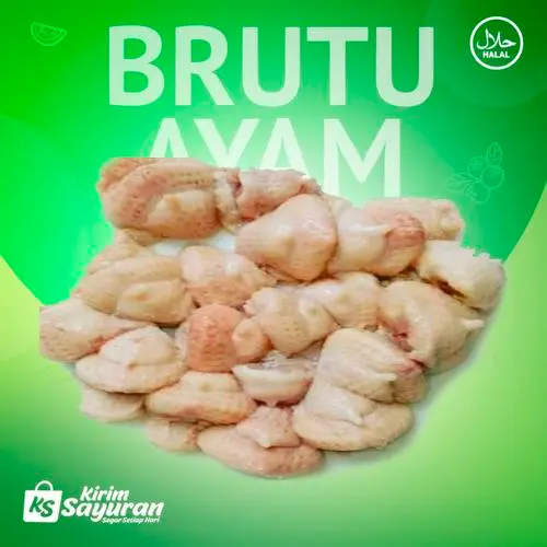 BRUTU/ TUNGKIR AYAM