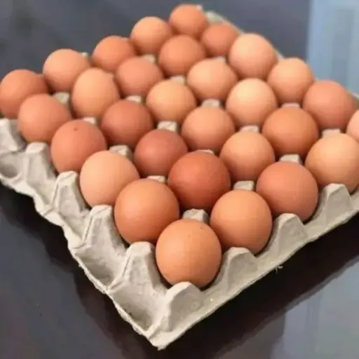 TELUR AYAM RAK KERTAS Rp 2.500/pcs (1 Rak = 30 Pcs)
